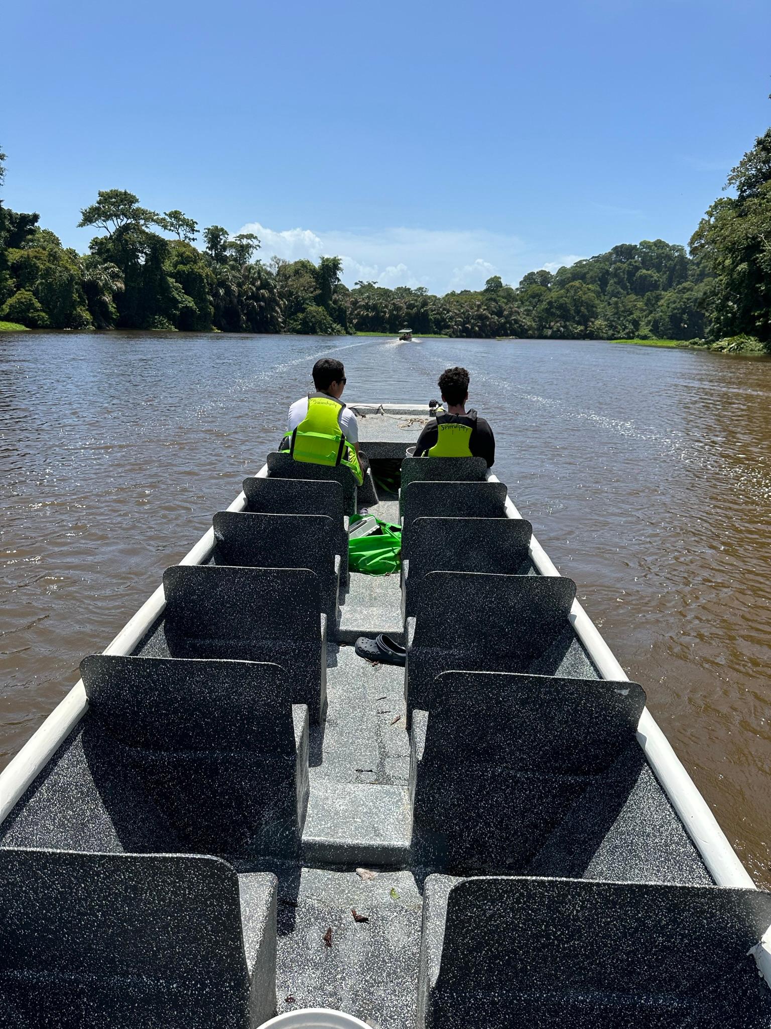 Hotel Serendipity dock and jungle arrival