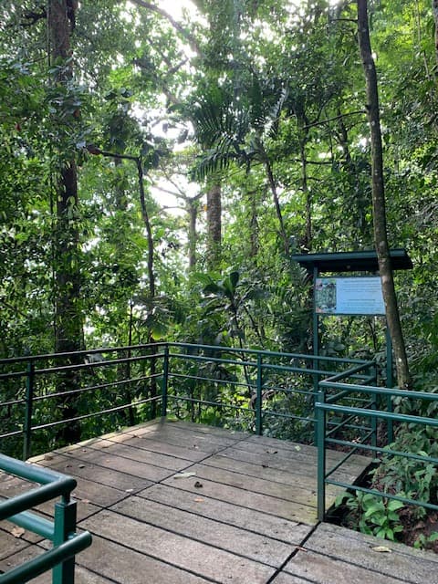 Hill Walk Tour in Tortuguero National Park
