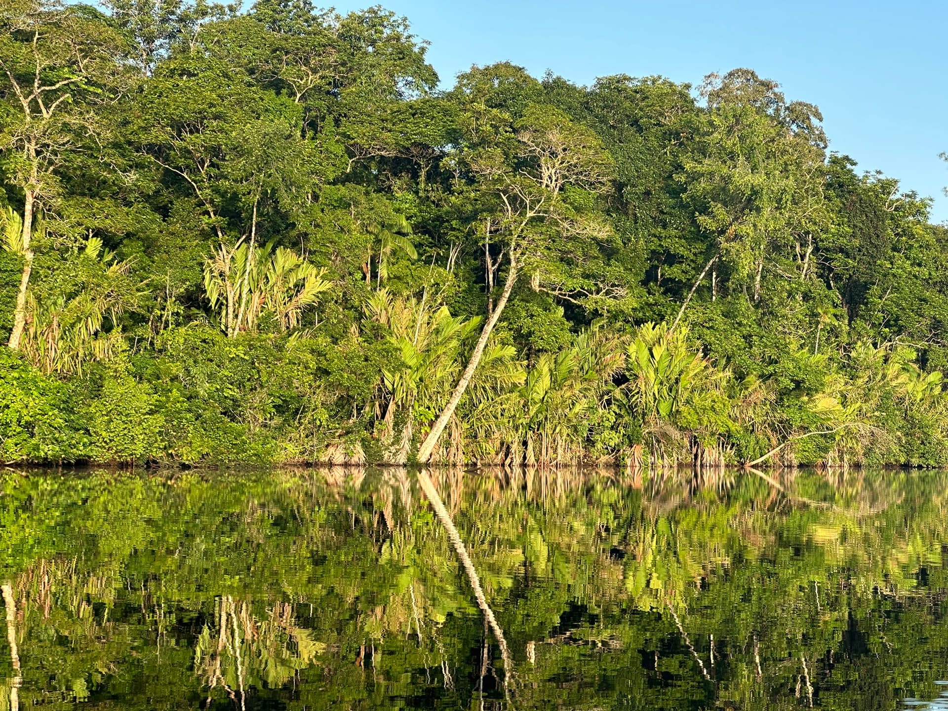 Combo — Palmera (Boat, Hill & Walk)