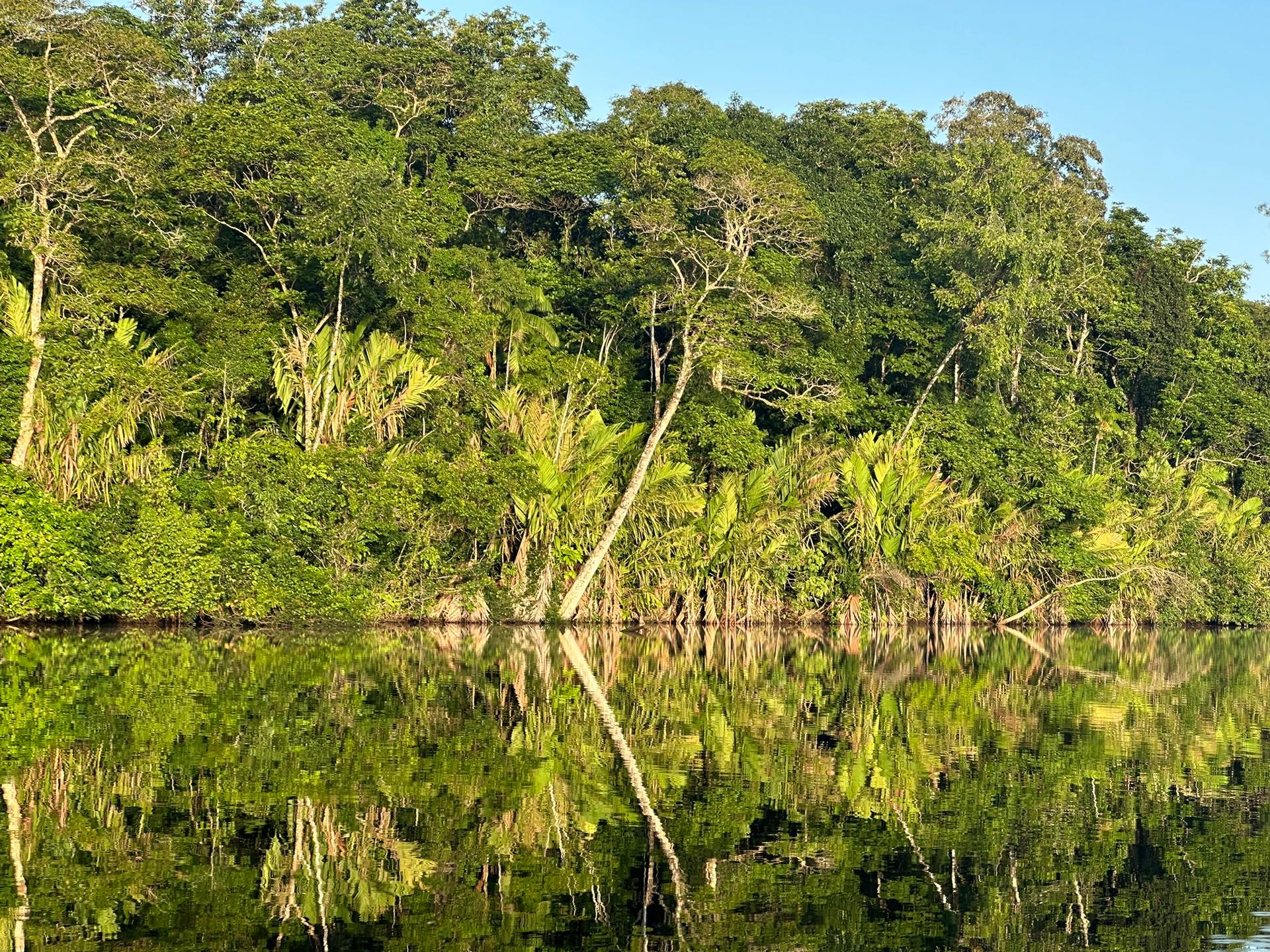 Combo — Palmera (Boat, Hill & Walk)